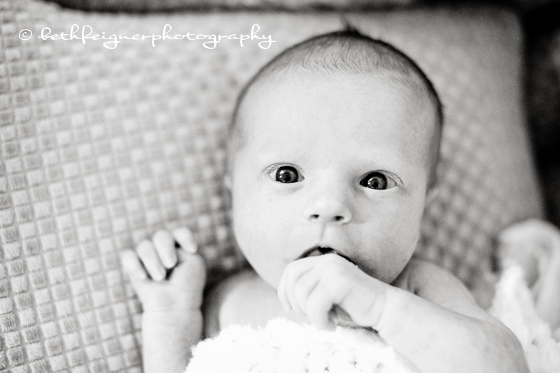 clementine-250bw clementine-250bw