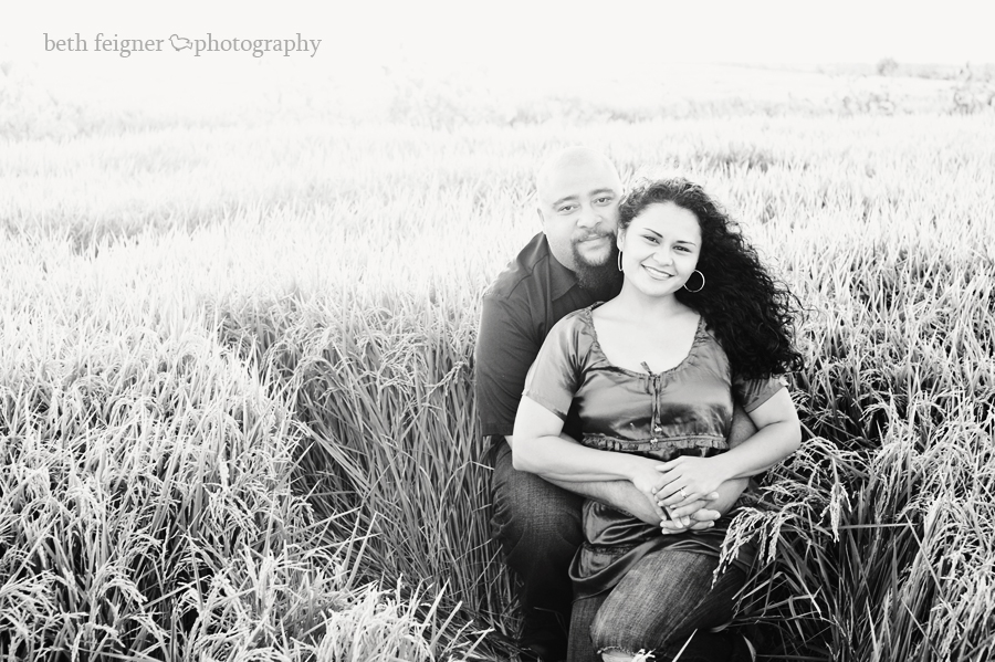 teal-230bw teal-230bw